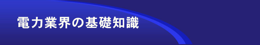 日本電力購入協同組合/運営：株式会社日本システムプランニング